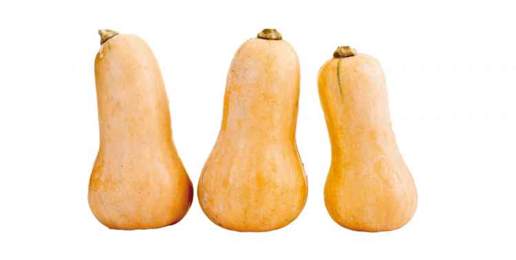 奶油南瓜 butternut squash