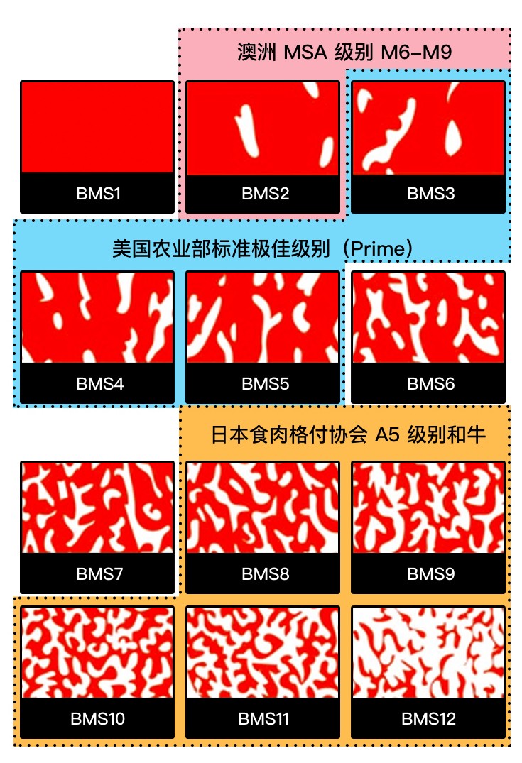 全球最贵和牛店开到中国来了 这个顶级食材有啥故事 名厨