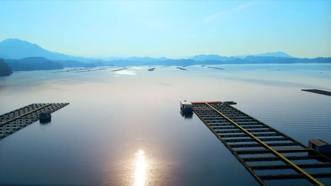 1609303457964343.jpeg 640-2.jpeg