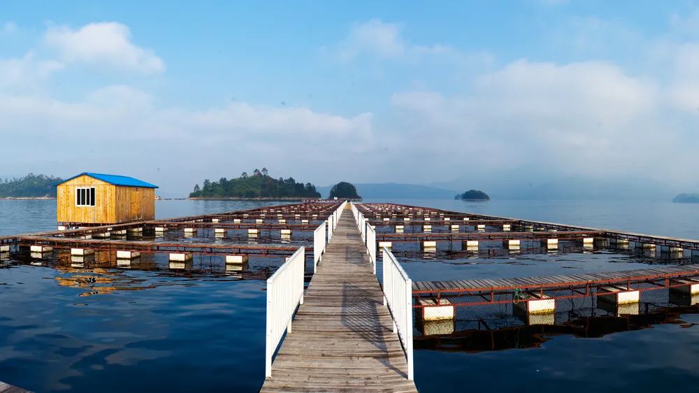 1609303472642955.jpeg 640-3.jpeg