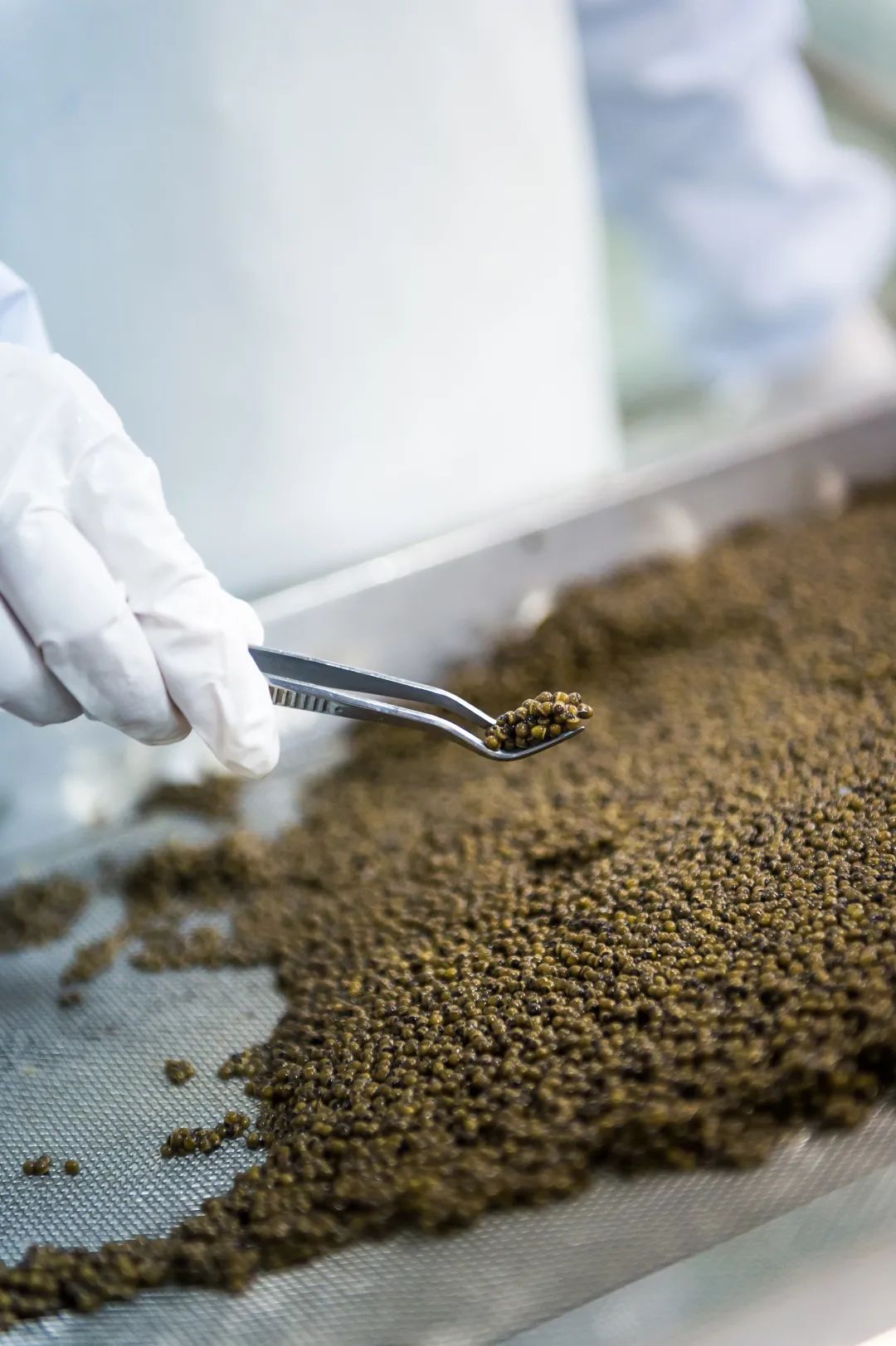 1609303518565628.jpeg 640-4.jpeg