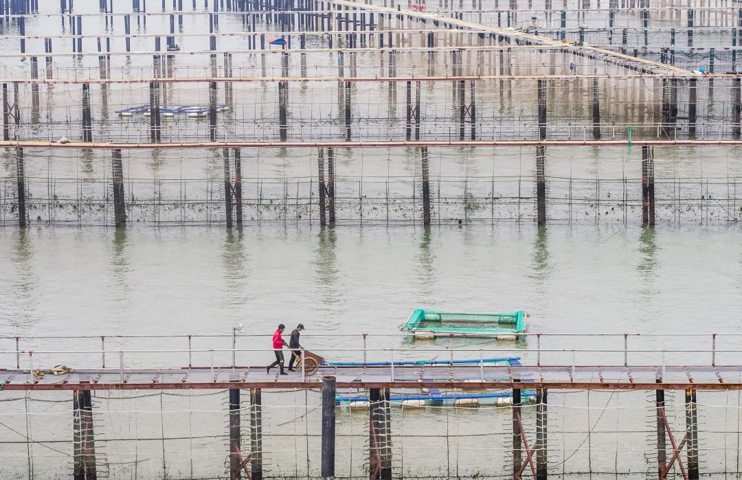 1619522028211342.jpeg WechatIMG6030.jpeg