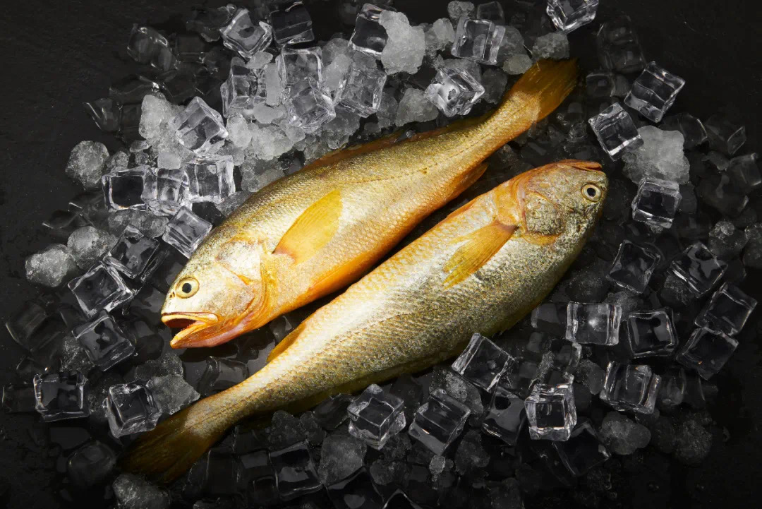 1619522052209486.jpeg WechatIMG6031.jpeg